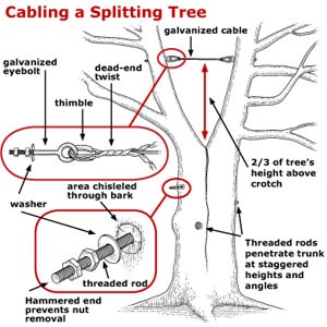 Structural Cabling Tallahassee