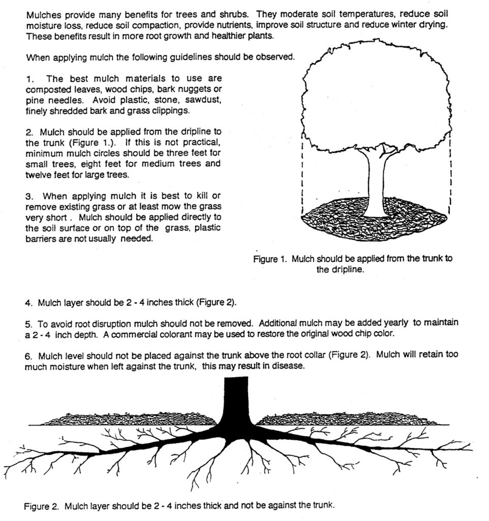 Mulching Benefits and How to Apply - Fielder Tree Service