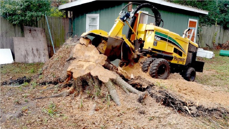 Stump Grinding Tallahassee Fielder Tree Service 850 656 8737 